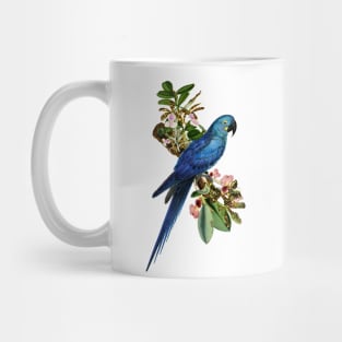 Blue Parrot Mug